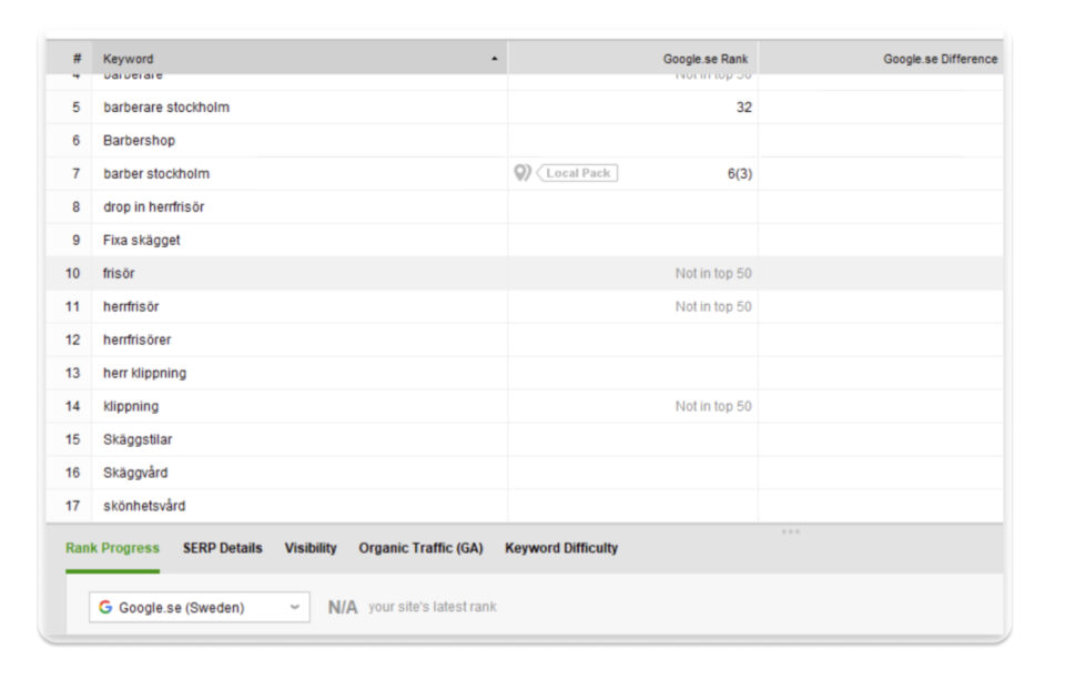 SEO rapportering